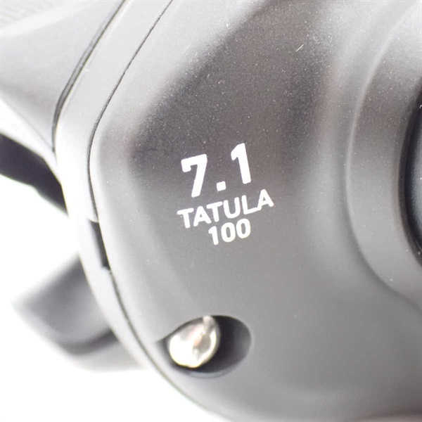 ２４タトゥーラＴＷ１００Ｈ右